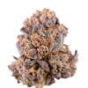 Caramelicious Feminized Marijuana Seeds