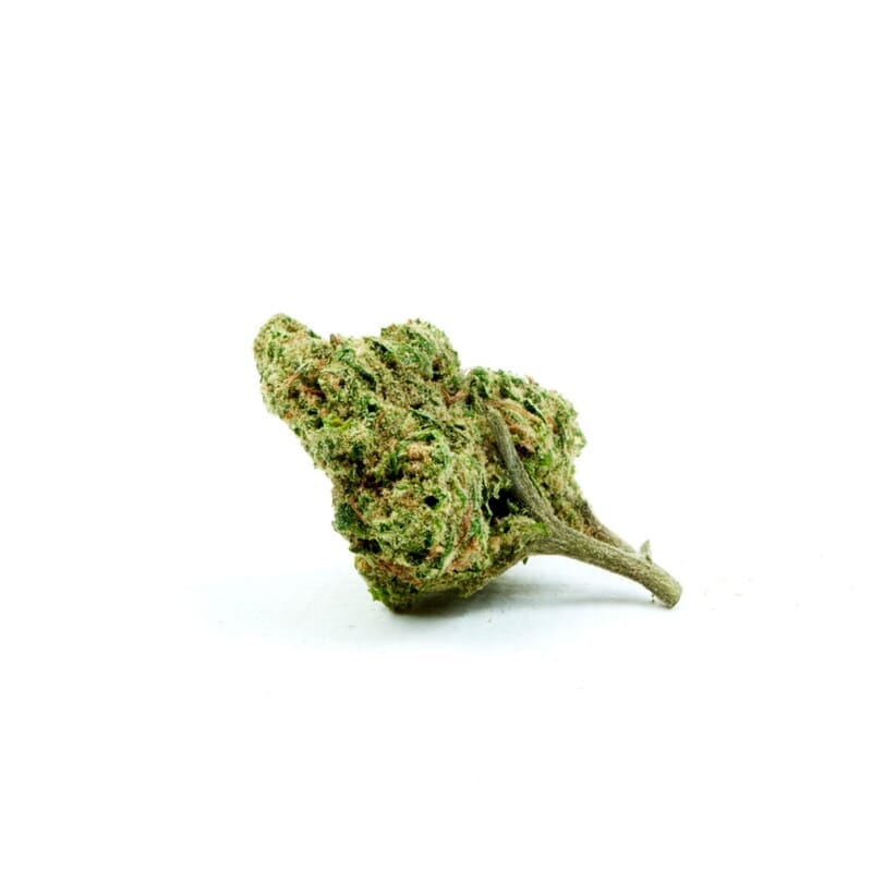 Cheese Feminized Weed Seeds
