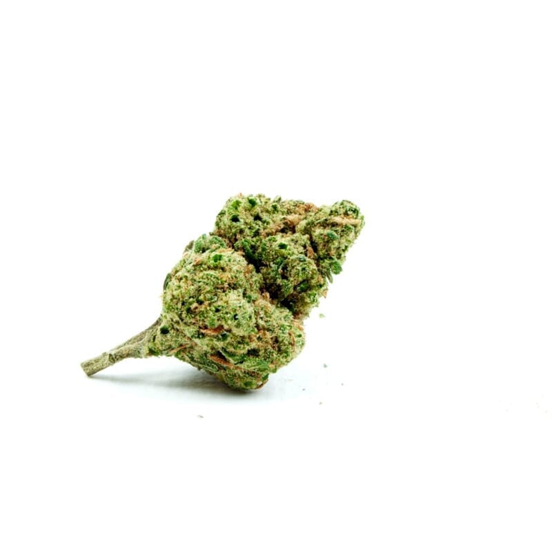 Chronic Autoflowering Marijuana Seeds