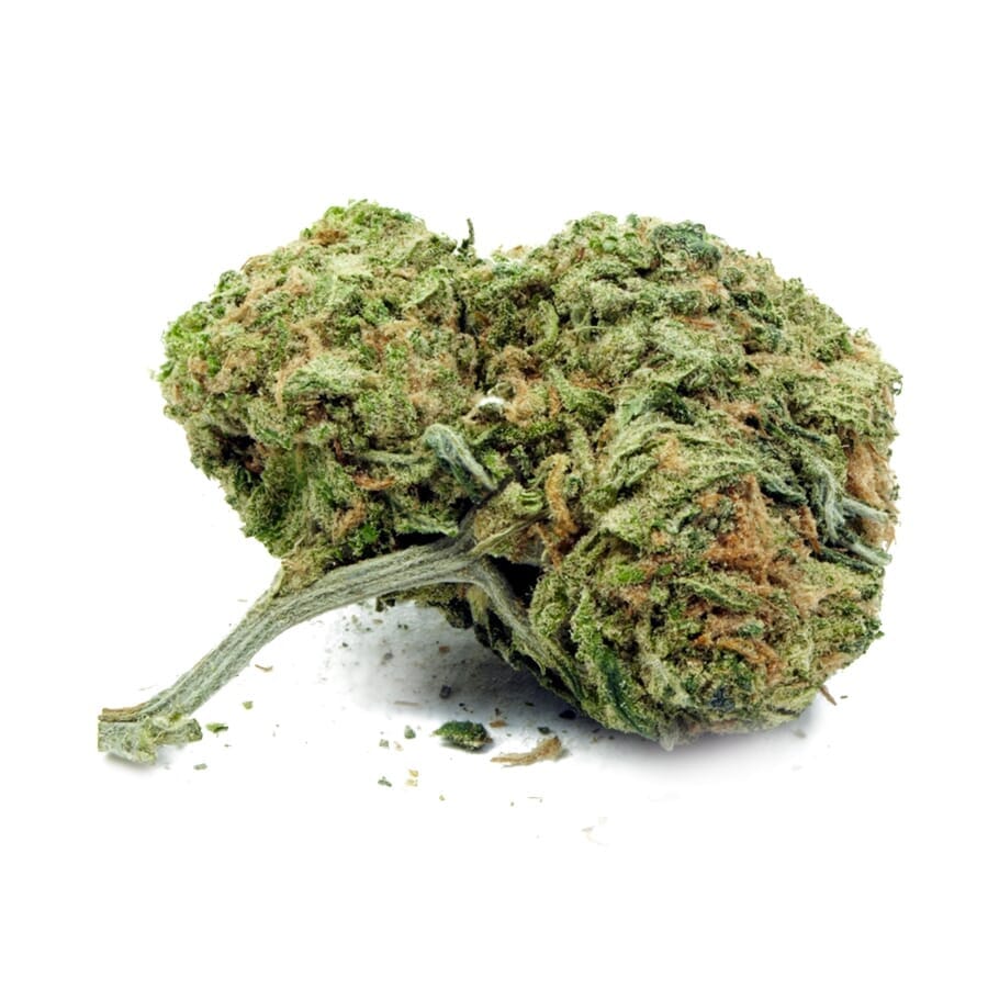 Matanuska Thunder XTRM Feminized Cannabis Seeds