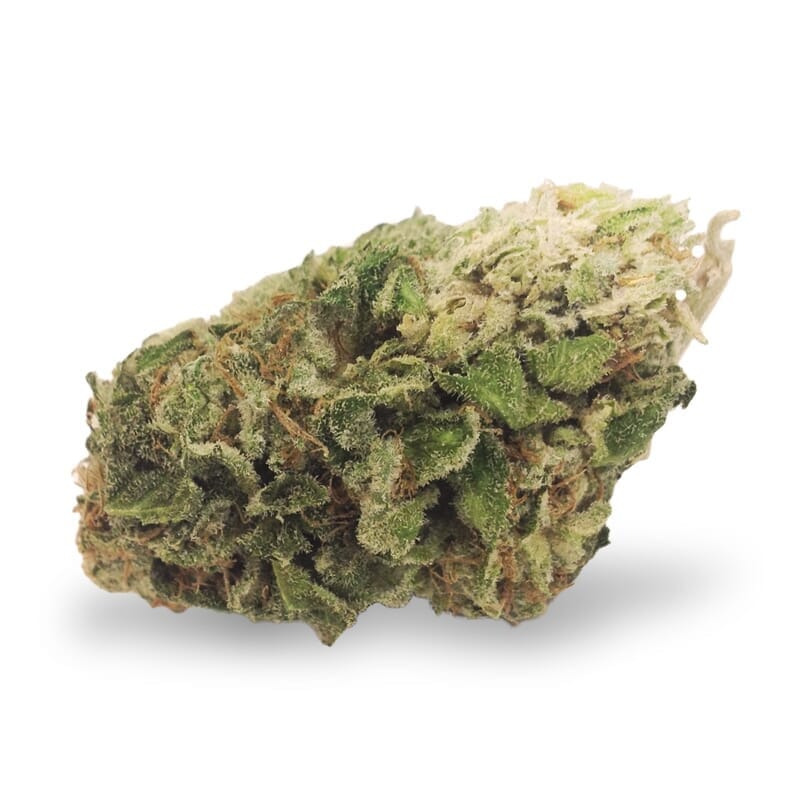 Northern Lights XTRM Feminized Weed Seeds