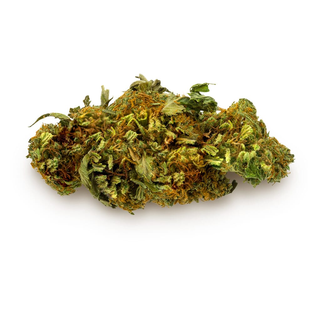 Orange Bud Autoflowering Cannabis Seeds