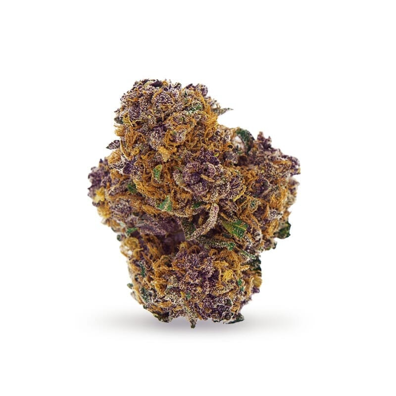 Purple Power Feminized Marijuana Seeds