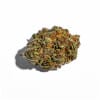 Purple Punch Feminized Weed Seeds