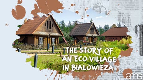 eco houses in Bialowieza