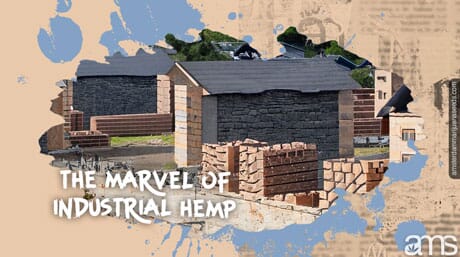 houses under construction with industrial hemp