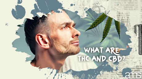 man observes a cannabis leaf with an interogative gaze