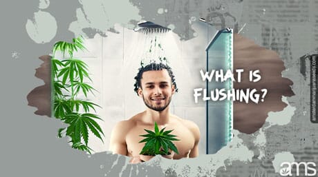 Man in the shower with his cannabis plant