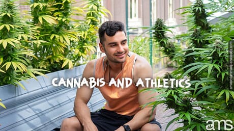 athlete on his terrace in amsterdam with some cannabis plants