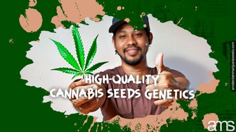 man with cannabis leaf and thumb up