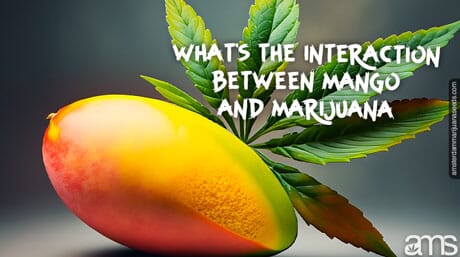a mango and a cannabis leaf