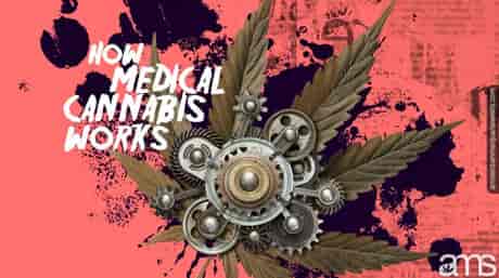 cannabis leaf with mechanical devices