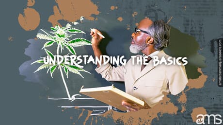 professor teaches the basics of cannabis germination
