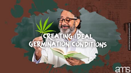professor teaches cannabis germination with a leaf in hand