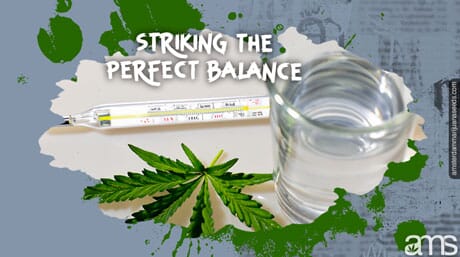 thermometer with a glass of water and a cannabis leaf