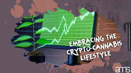Marijuana plant in front of screen with crypto chart