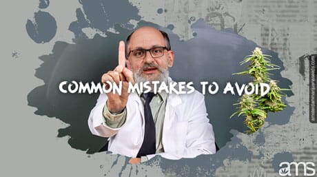 professor waves no with a marijuana plant next to it