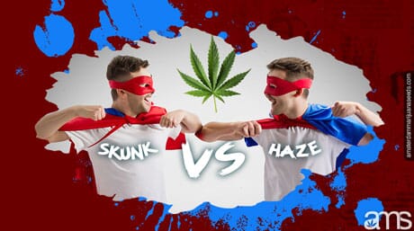 Two super heroes representing Skun and Haze confronting each other
