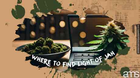 A bowl with dried marijuana and a screen showing a cannabis plant being purchased online