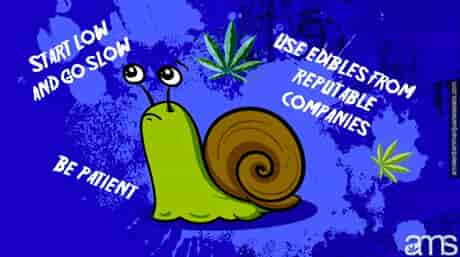 cartoon image of a snail