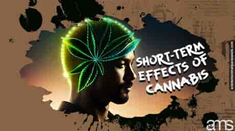 a human head with a marijuana leaf
