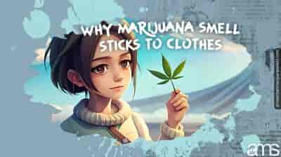 girl holding a marijuana leaf with a sweater on