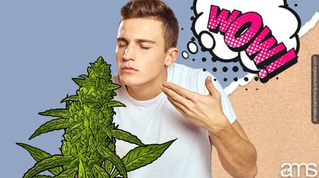 man smelling kush plant