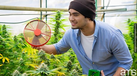 man in a greenhouse with a fan