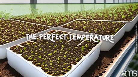 growroom with the perfect temperature
