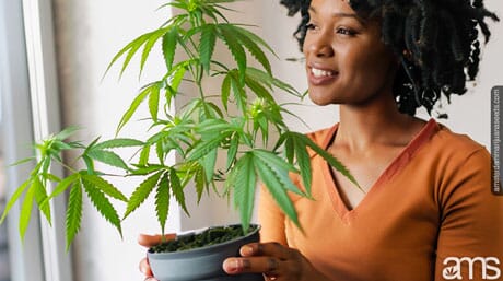 woman observes the genetics of her cannabis plant