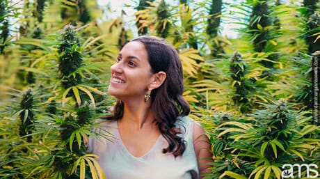 woman observes the yield of her cannabis plants