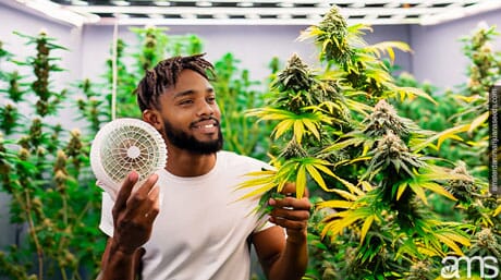 man with a fan in a grow room