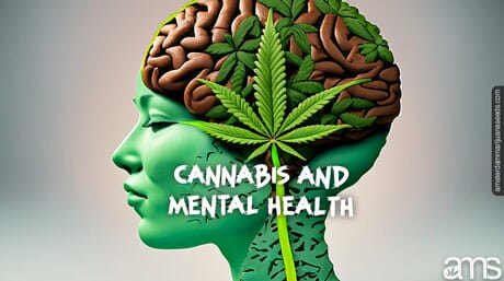 representation of the human brain and a cannabis leaf