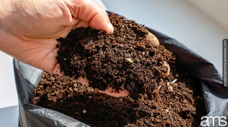 potting soil in grow_bags