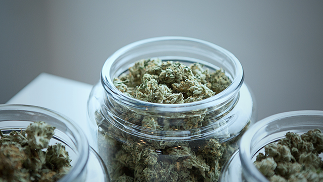 glass pot with medical marijuana