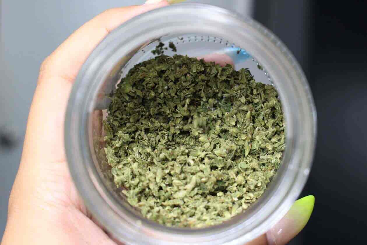 Cannabis Jar