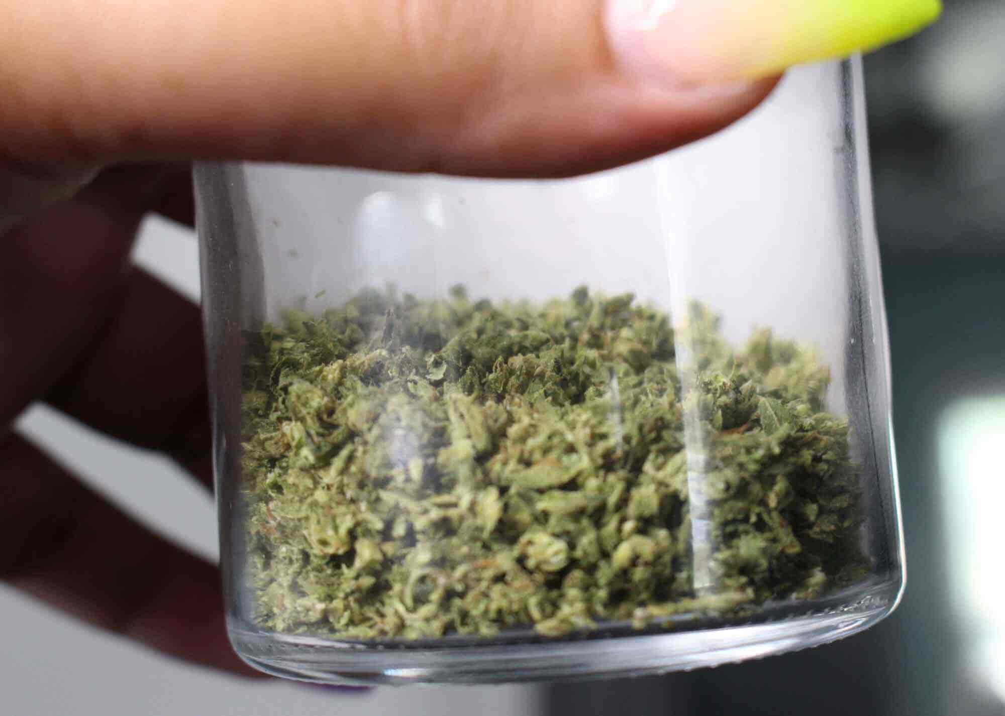 Dried cannabis buds in jar