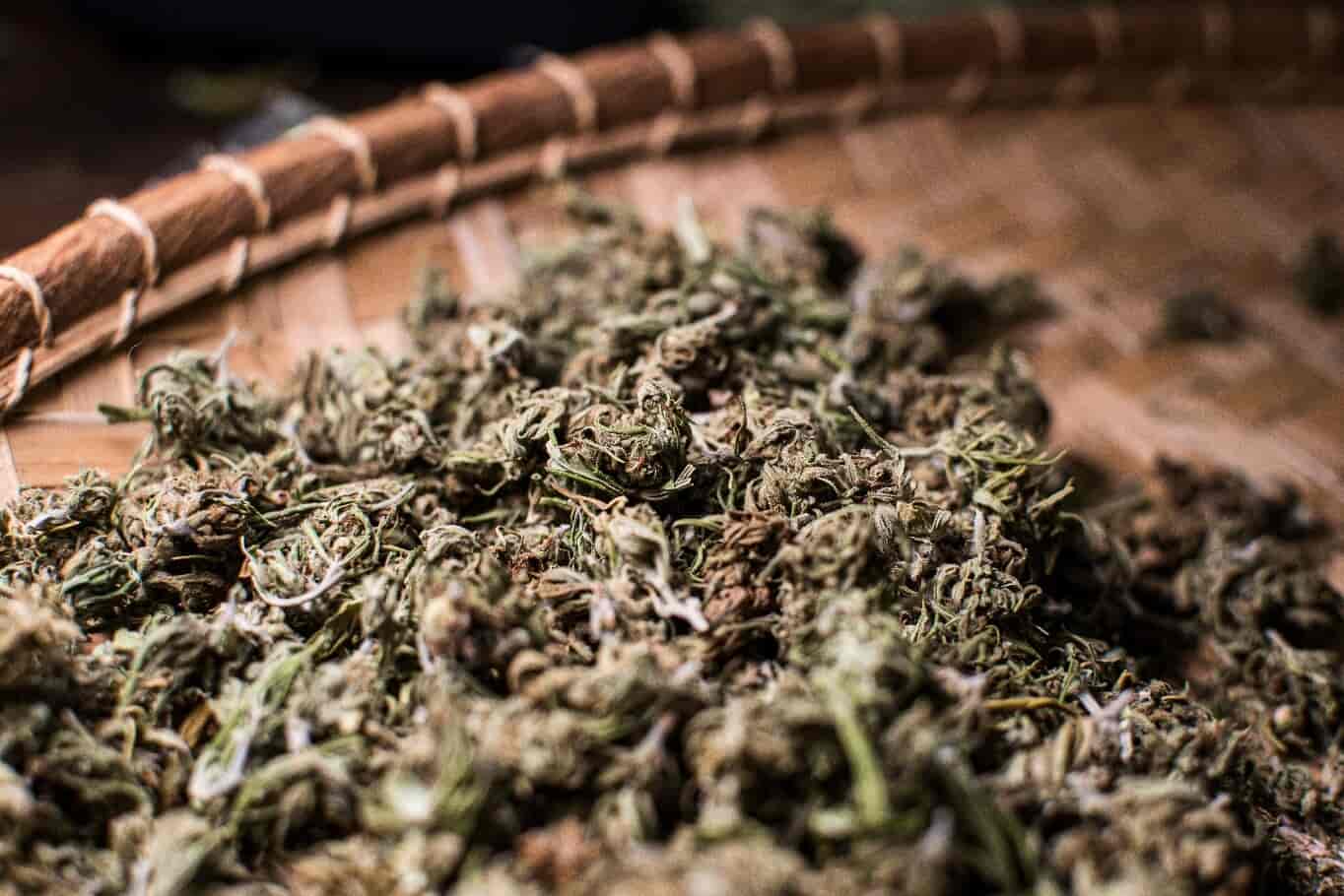 Dried Cannabis