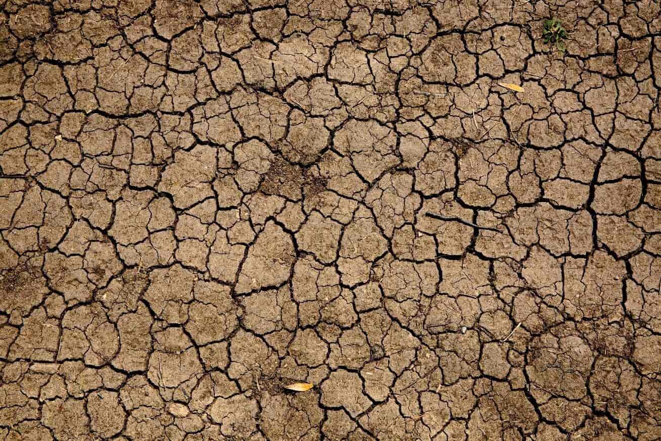 Dry ground