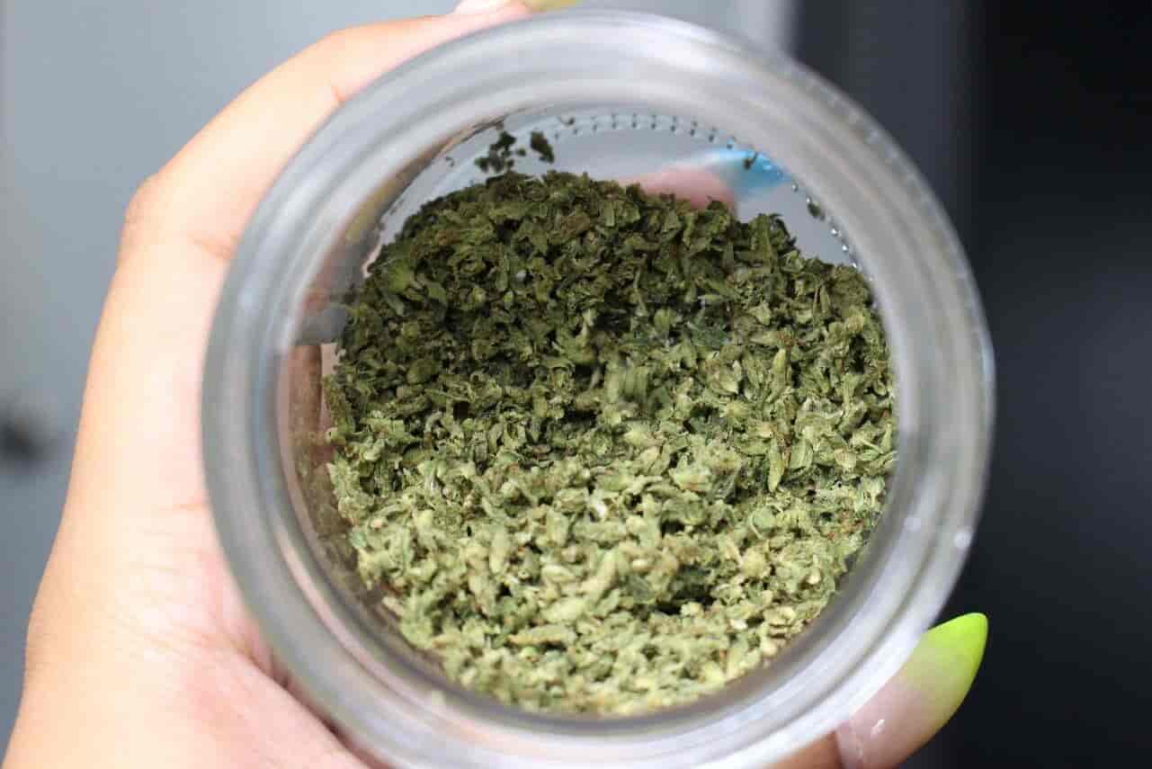 ground, well-dried cannabis flower
