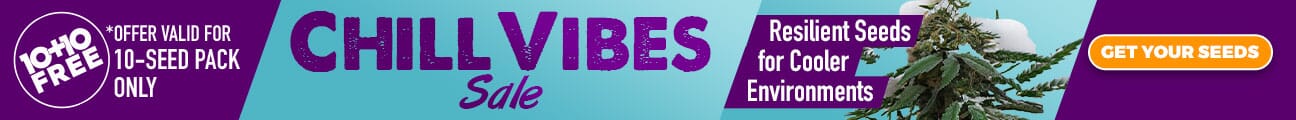 Chill Vibes Sale