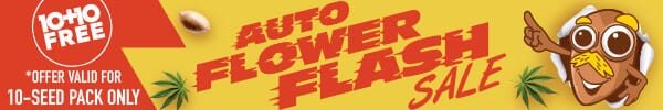 Autoflower Flash Sale