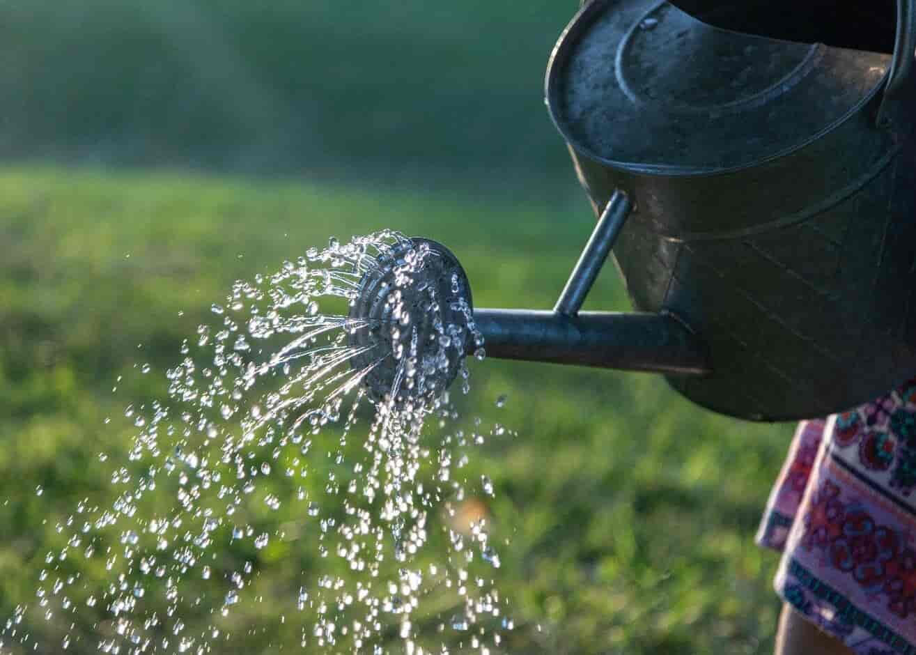 Water can