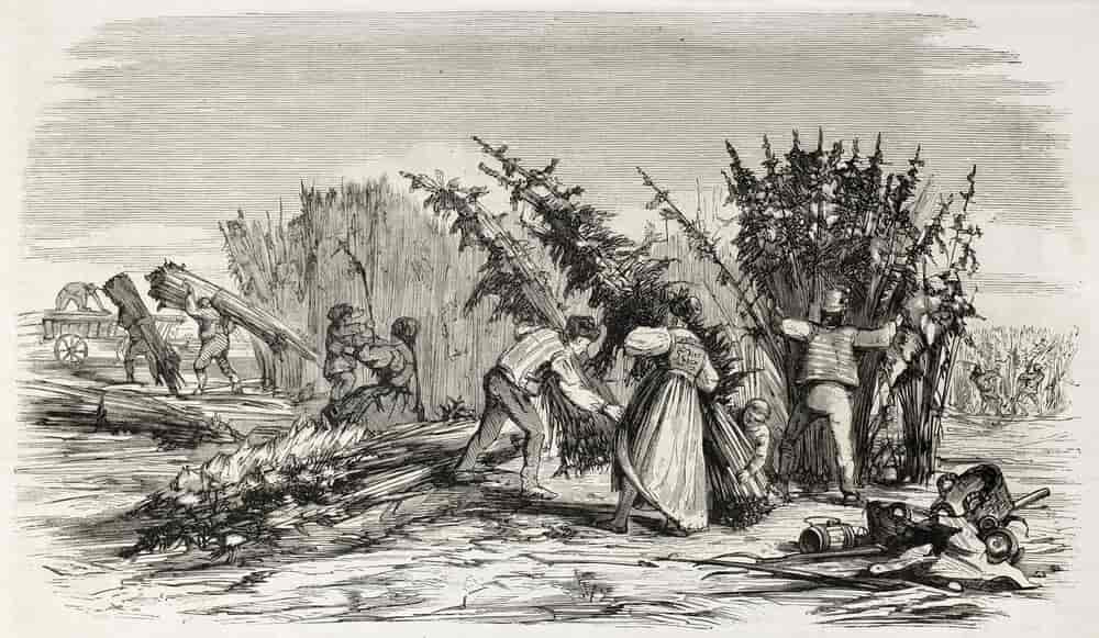 old drawing of people harvesting cannabis