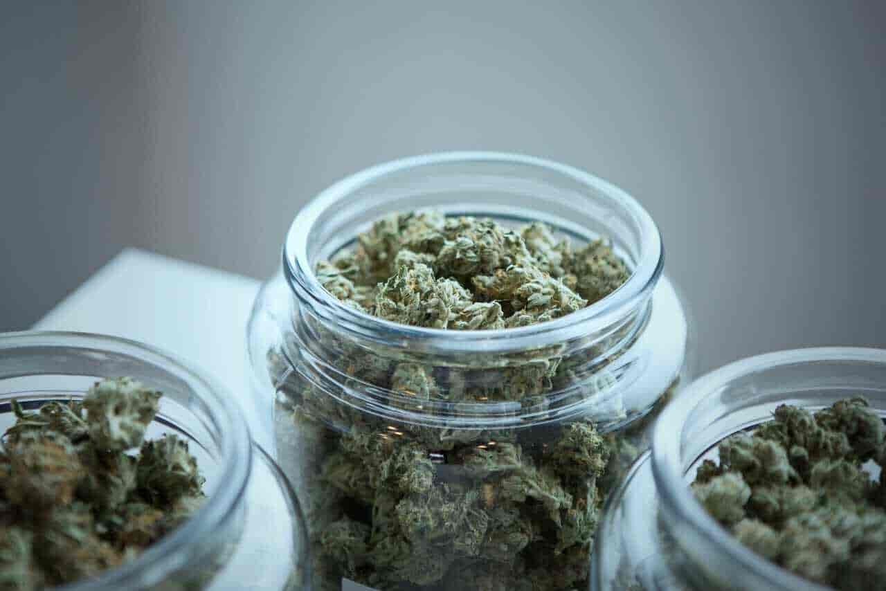 Cannabis jars