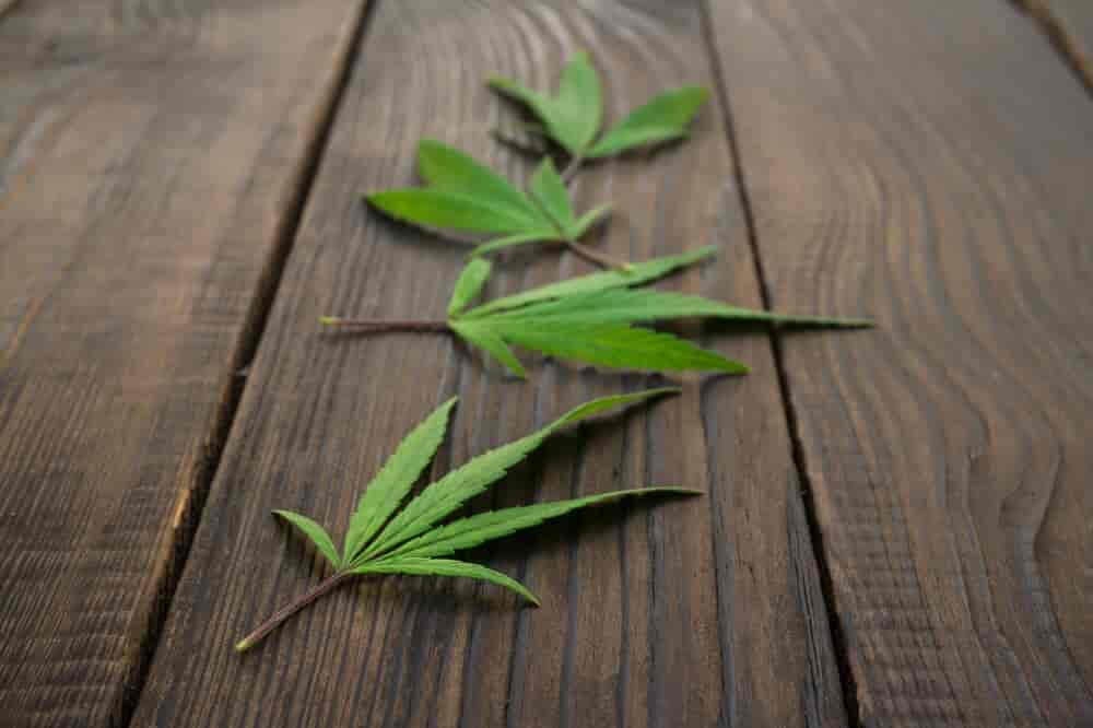 cannabis leaf on wooden floor
