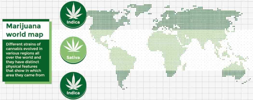 marijuana world map