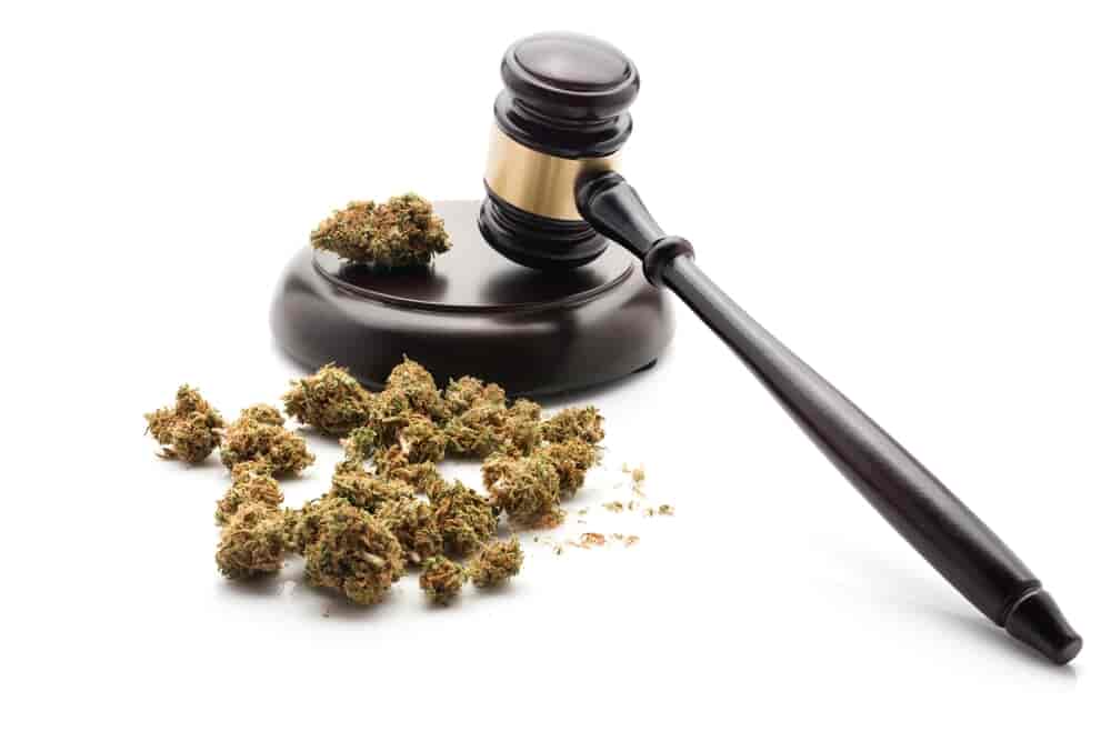 court cases about cannabis