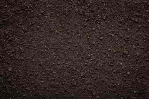 dark color soil