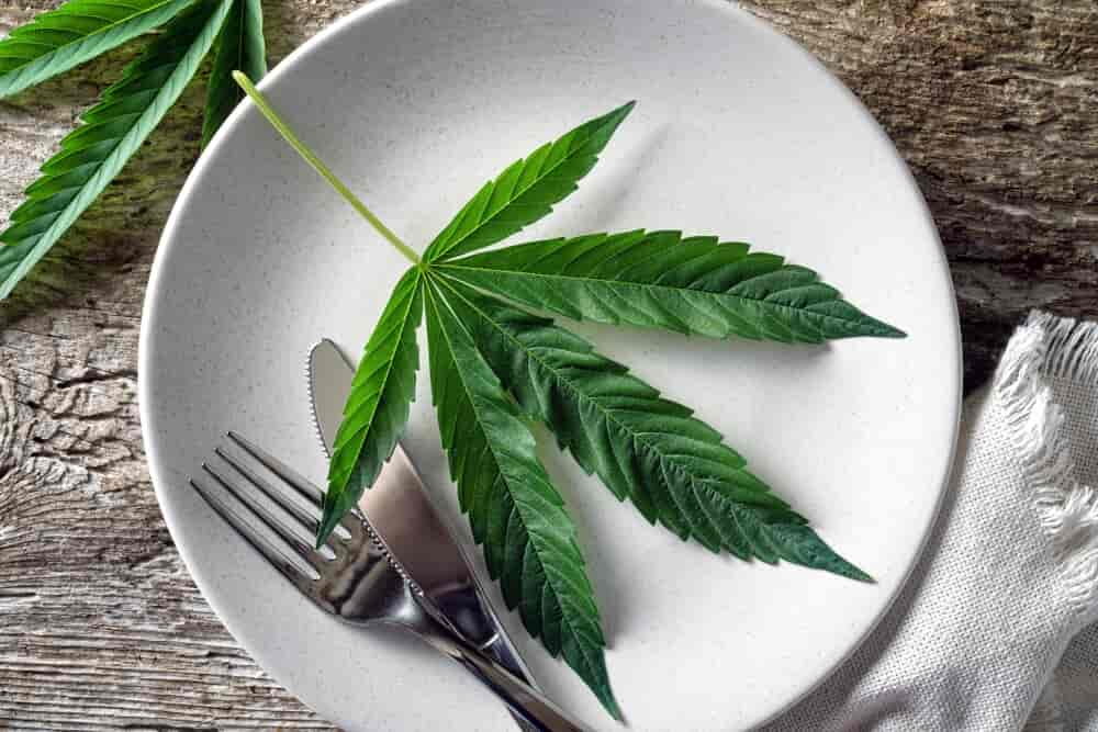 eat_cannabis_superfood